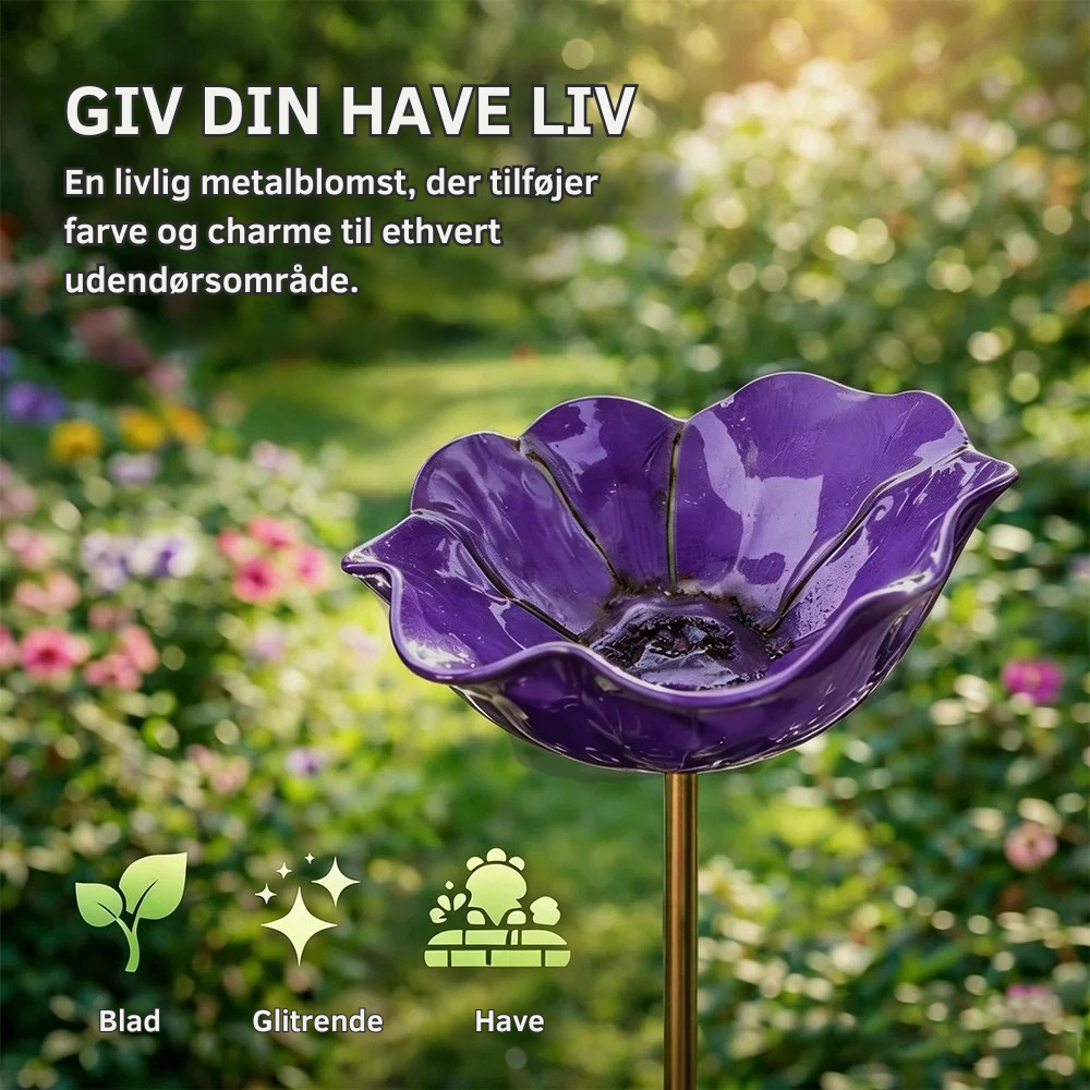FloraOasis™ | Giv haven mere liv, farve og ro