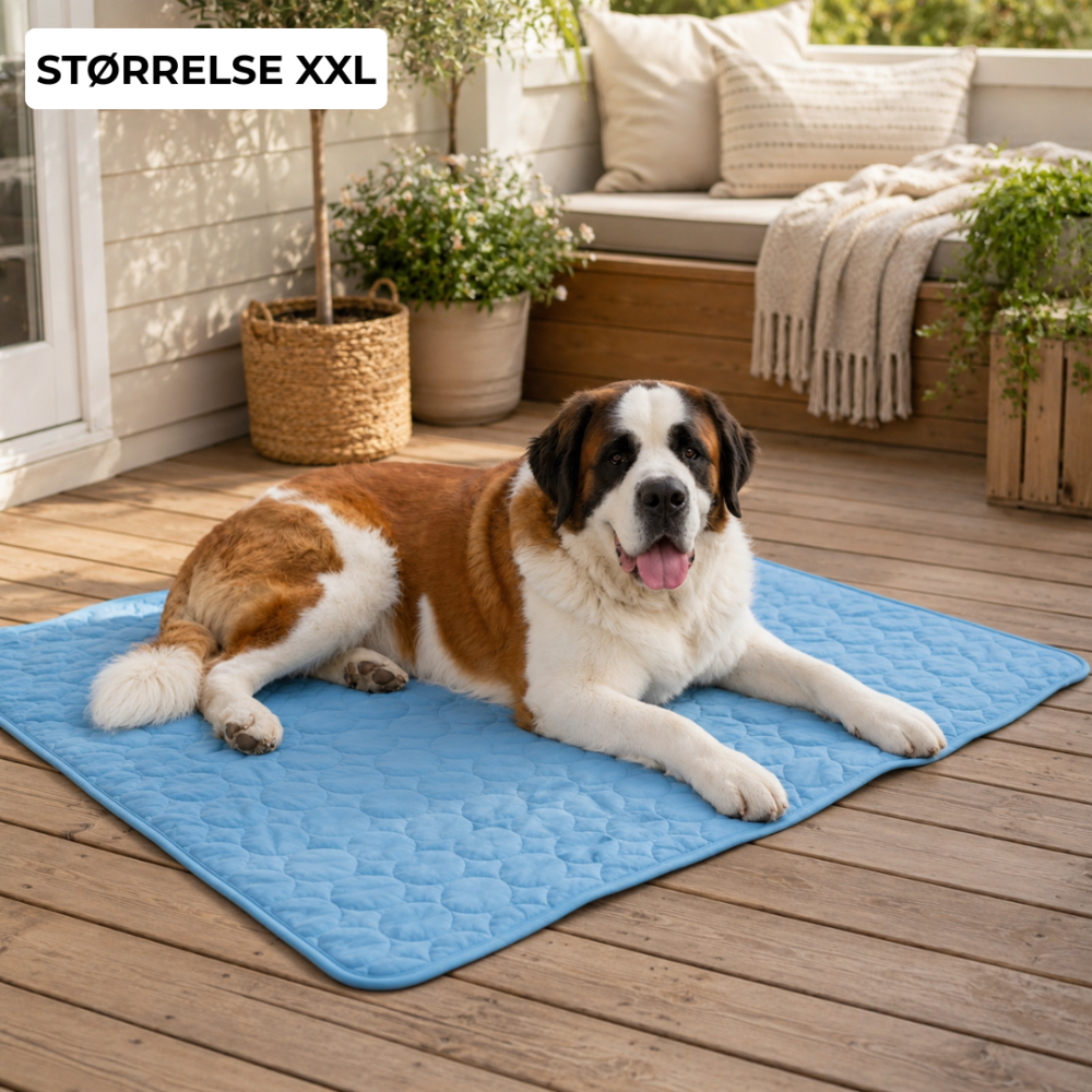 ChillPaw™ | Giv din hund et køligere sted at hvile