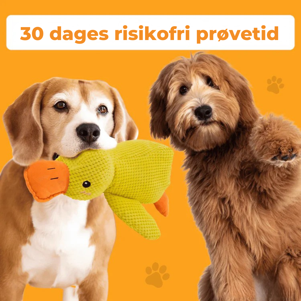 SoothingDuck™ | Anti-stress-anden til din hund