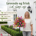 FloraLux™ | Skab et smukt blomsterlook uden vedligeholdelse