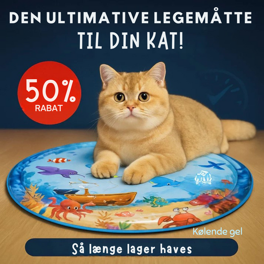 AquaPaws™ | Spielteppich – Kühlender Spielspaß