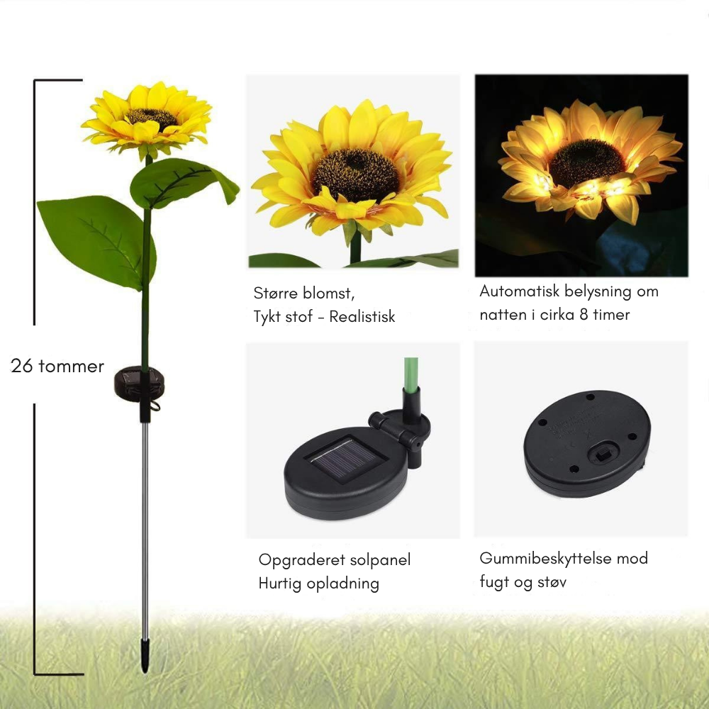 SunBloom™ | Giv haven et varmt og magisk aftenlys