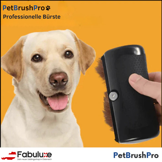 PetBrush™ Pro | Die ultimative Hundebürste gegen Haaren und Flöhe