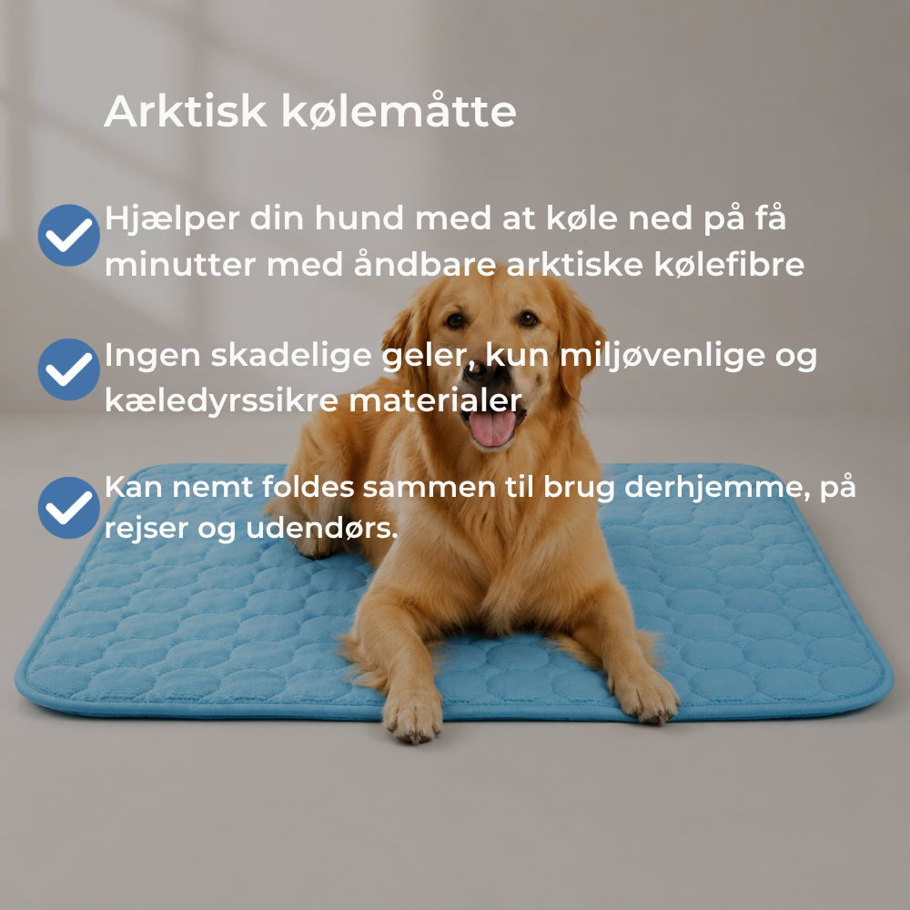 ChillPaw™ | Giv din hund et køligere sted at hvile