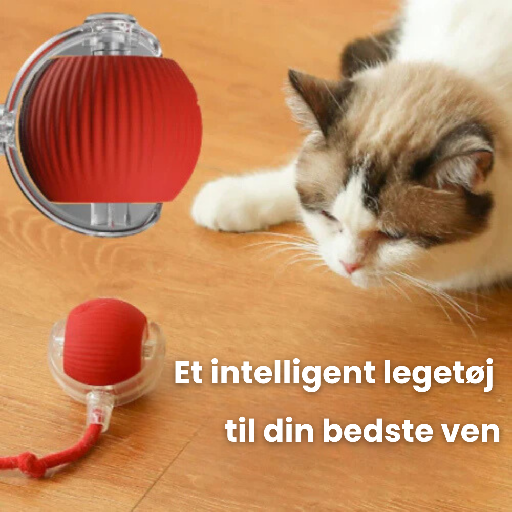 PurrPlay Ball™ | Stop kedsomhed og ødelagt inventar hos din kat