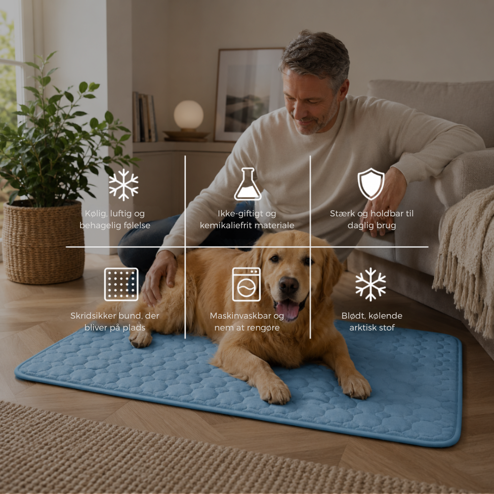 ChillPaw™ | Giv din hund et køligere sted at hvile
