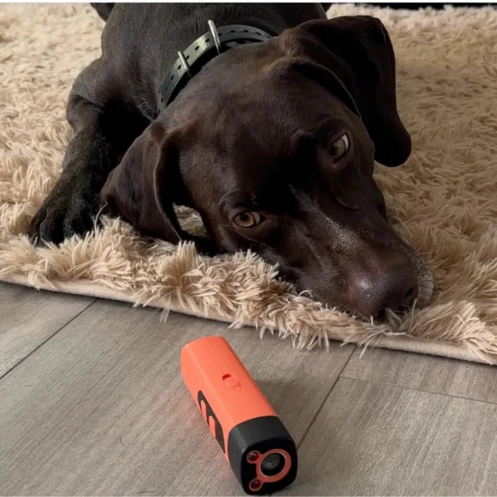 CalmTrainer™ | Få mere ro, lydighed og harmoni med din hund
