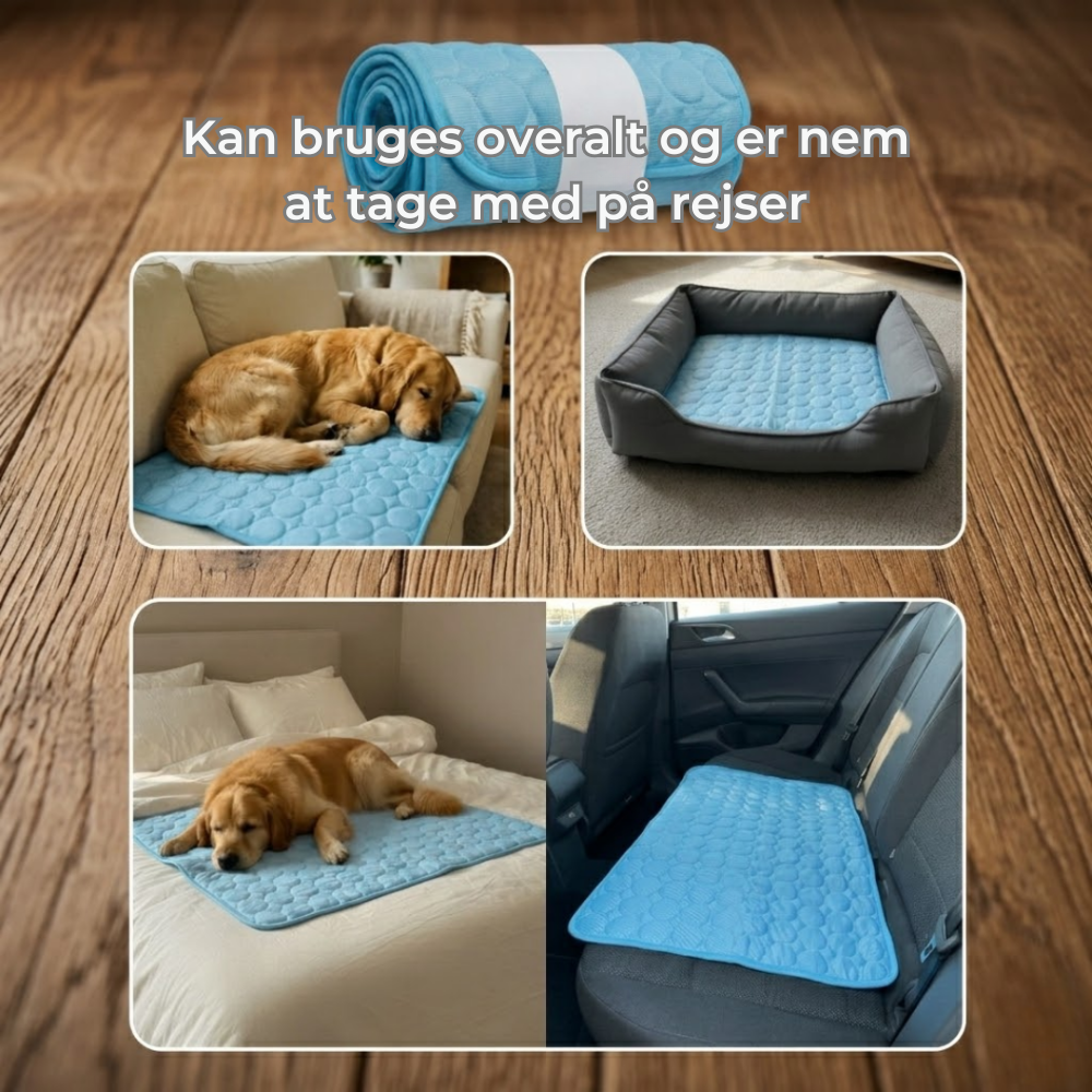 ChillPaw™ | Giv din hund et køligere sted at hvile