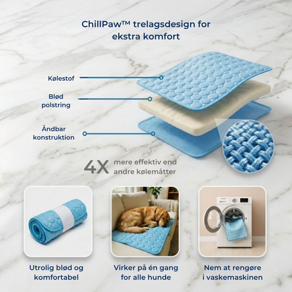ChillPaw™ | Giv din hund et køligere sted at hvile
