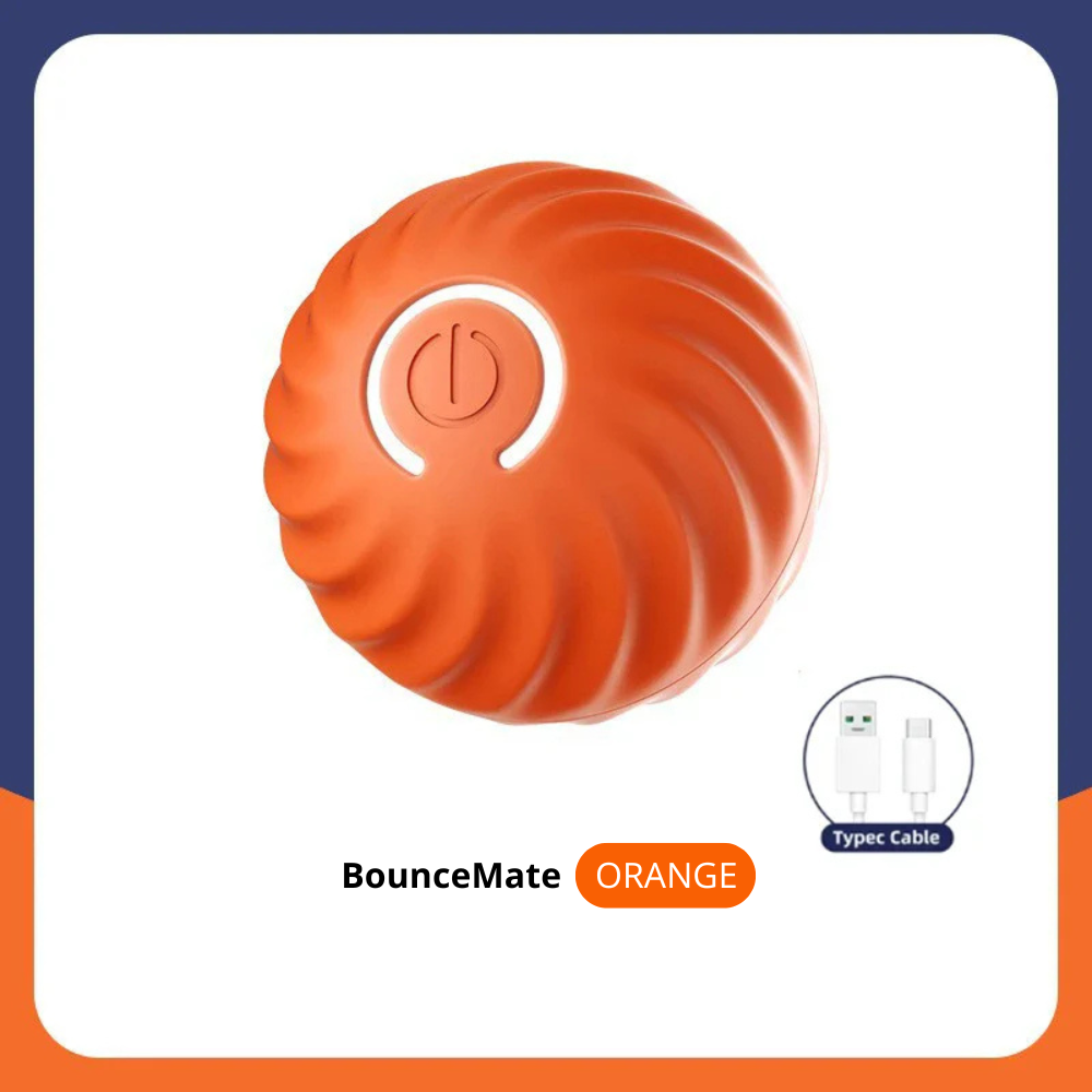 BounceMate™ | Interaktiv Bold Til Kæledyr