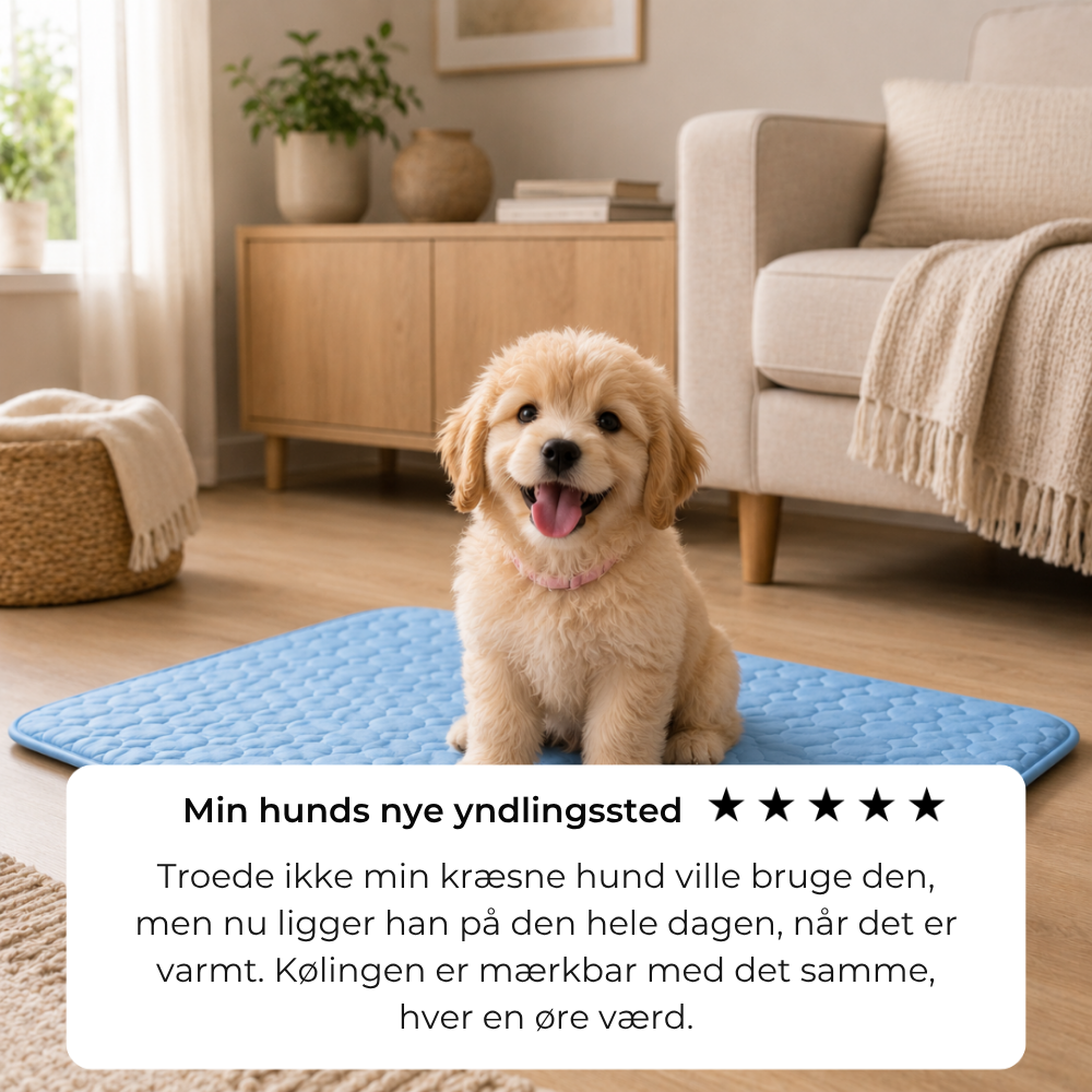 ChillPaw™ | Giv din hund et køligere sted at hvile