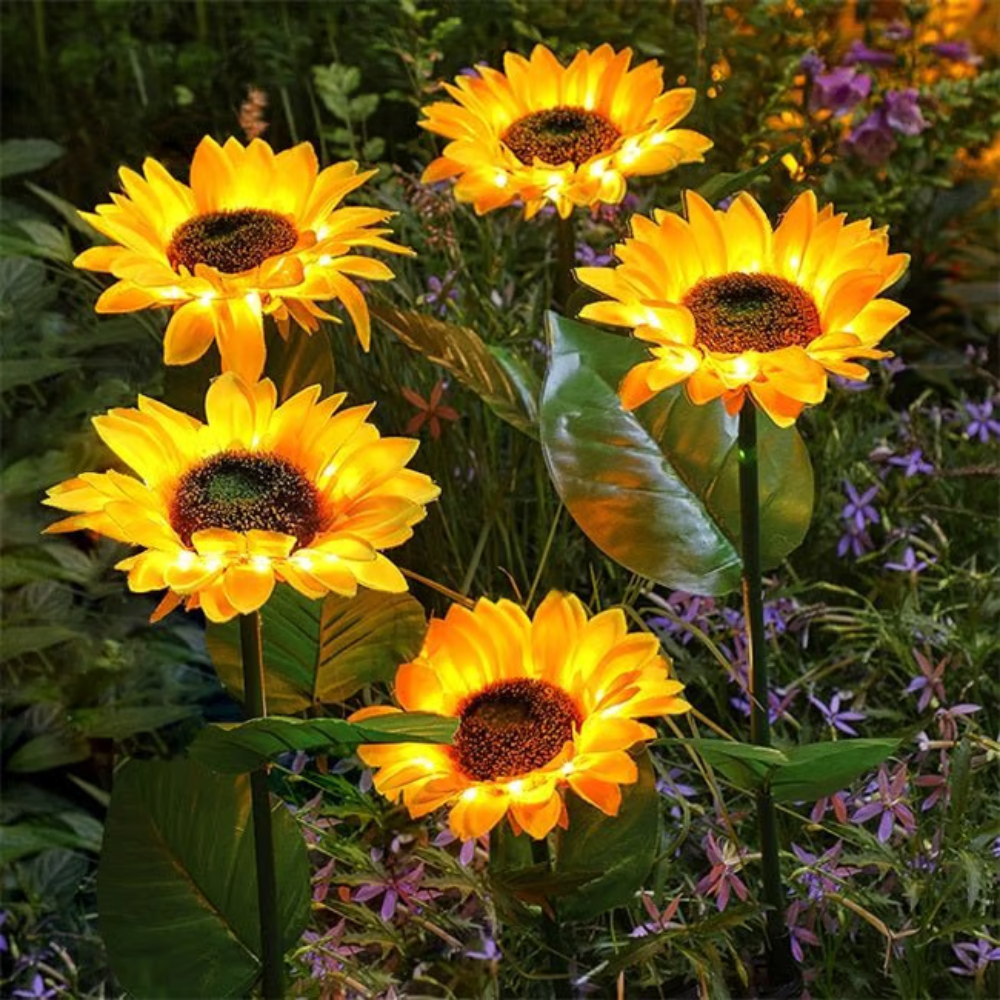 SunBloom™ | Giv haven et varmt og magisk aftenlys