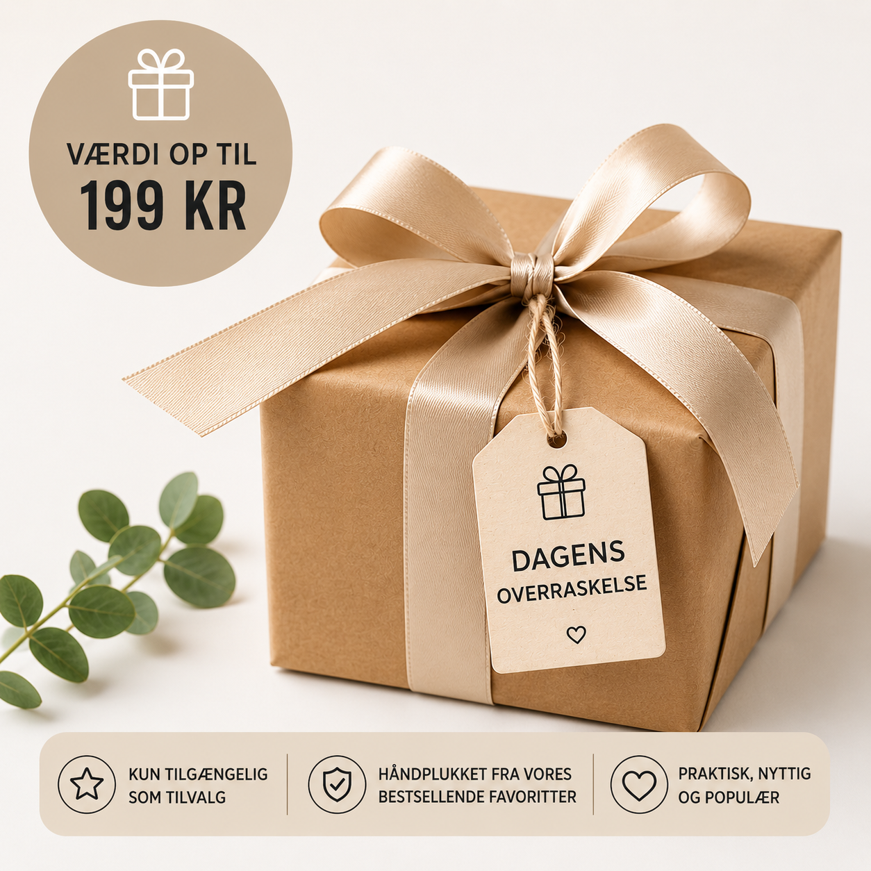 🎁 Dagens overraskelse