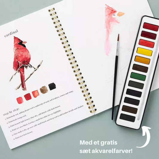 Akvarella™ | Verwandle dunkle Winterabende in ruhige, kreative Pausen