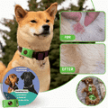 PawProtect™ | Giv din hund mere tryghed på hver gåtur