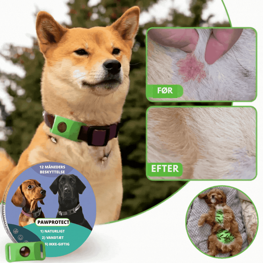 PawProtect™ | Giv din hund mere tryghed på hver gåtur