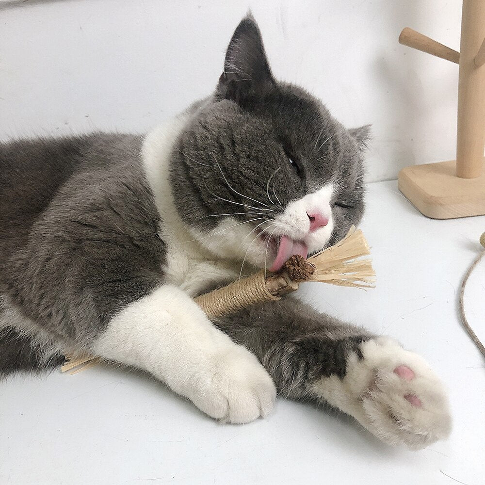 TidyTeeth™ | Naturlig Silvervine Stick tyggelegetøj til katte