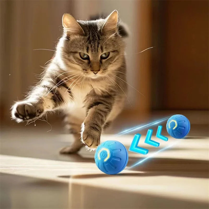 BounceMate™ | Interaktiv Bold Til Kæledyr