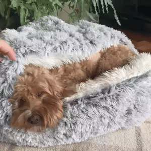 CozyCave™ | Den velkendte seng til kat og hund