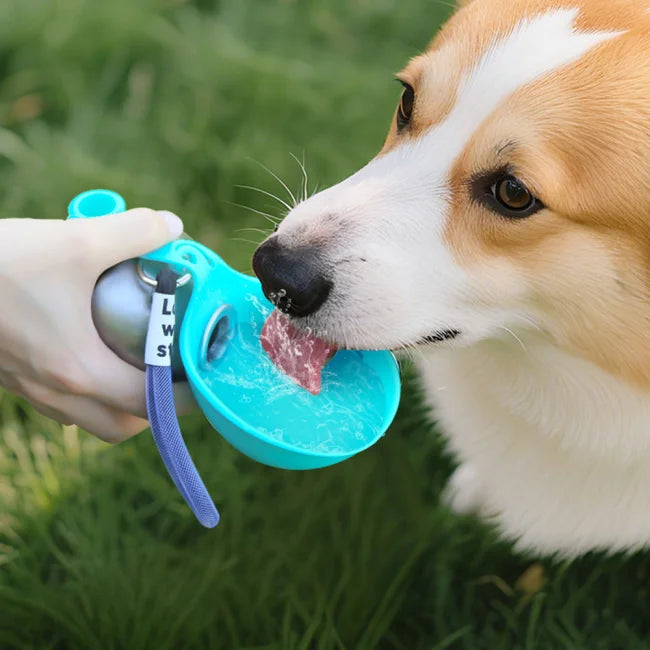 HydroPet™ | Giv din hund frisk vand hvor som helst