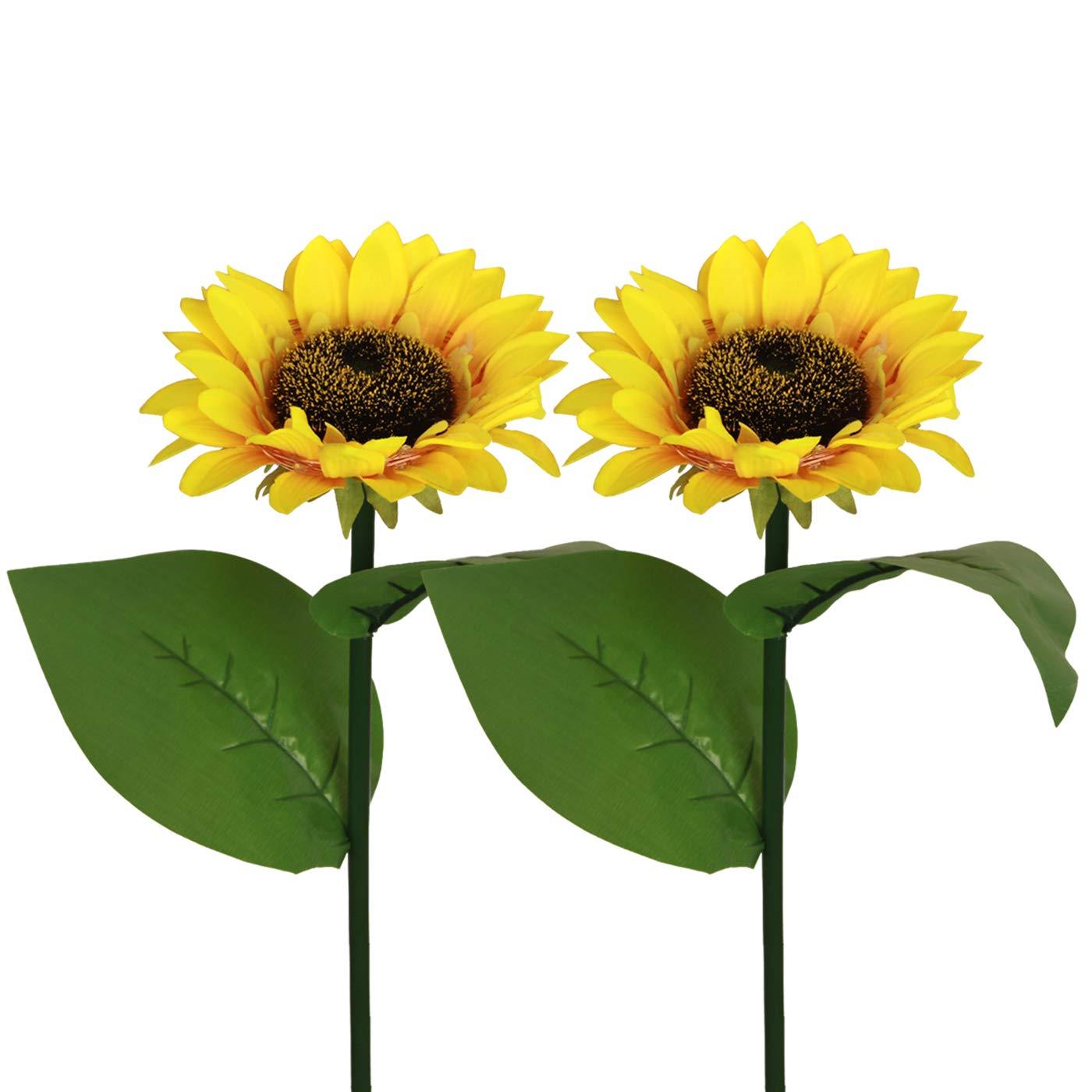 SunBloom™ | Giv haven et varmt og magisk aftenlys